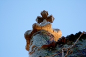 Crown on Casa Batlló - Passeig de Gràcia 43