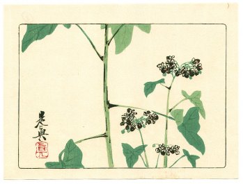 Shibata Zeshin - Hana Kurabe - Flowering Plant 1878